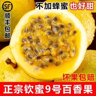 新鲜现摘整箱孕妇水果 当季 广西百香果黄金钦蜜9号特大果5斤 包邮