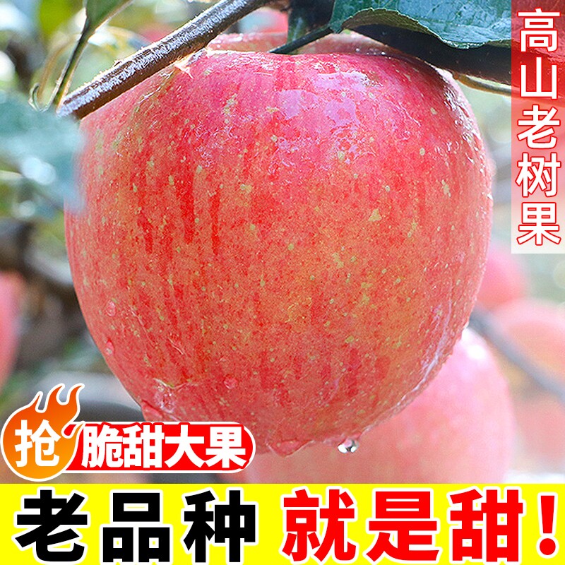 山东高山红富士丑苹果脆甜新鲜水果应当季孕妇大冰糖心包邮一整箱