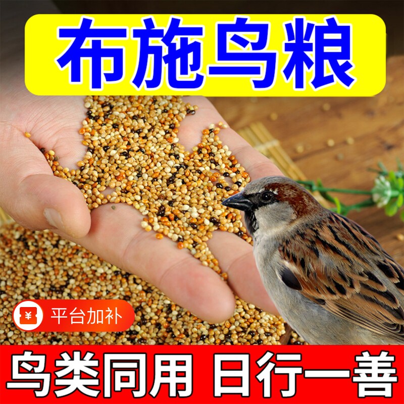 布施鸟食喂鸟鸟粮营养五谷黍子杂粮小米阳台野外救助麻雀喜鹊鸟食