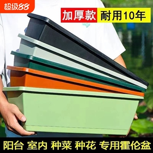 阳台种菜盆种菜神器长方形蔬菜塑料长条花盆槽盆栽种植盆托盘悬挂