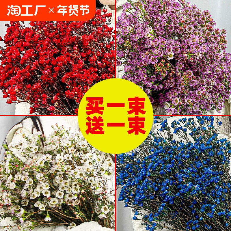 �ۻ��㣺��÷�ʻ�1�� ��ɫ��3-4��ɫ�� ������÷���л���ɫ��ѡ����ֱ������ˮ�����ڳ�����������˳��