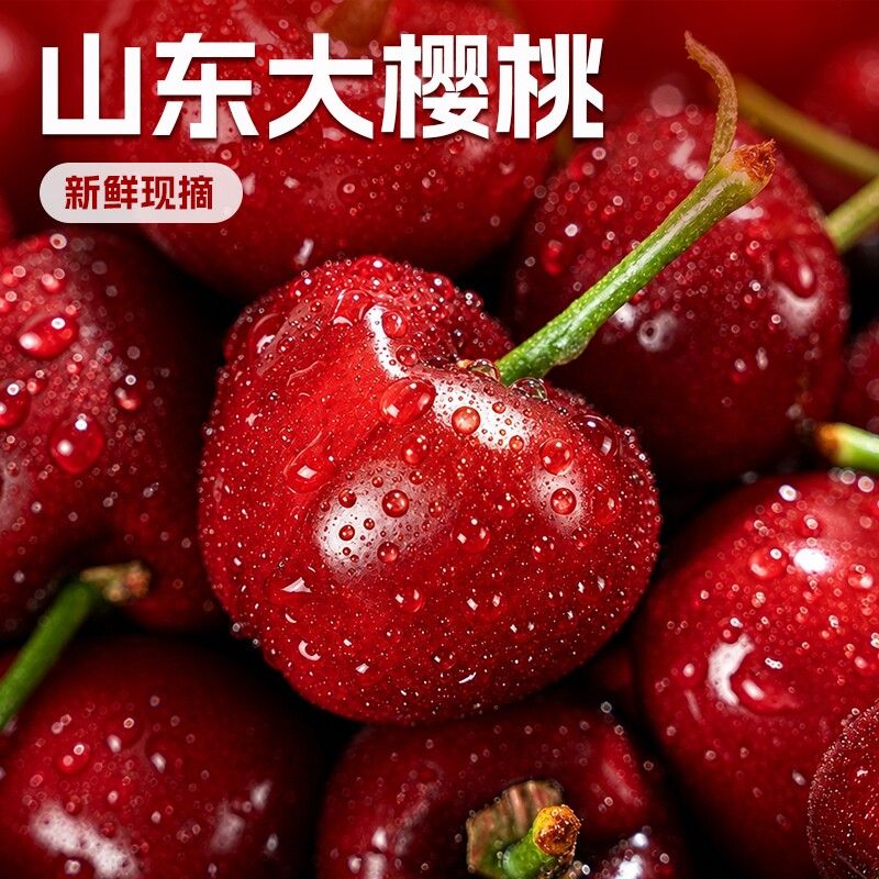 山东大樱桃   美早大樱桃新鲜水果山东车厘子现摘现发