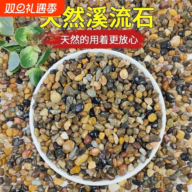 5斤天然鹅卵石原生溪流石鱼缸铺底砂装饰过滤造景小石子豆石养鱼