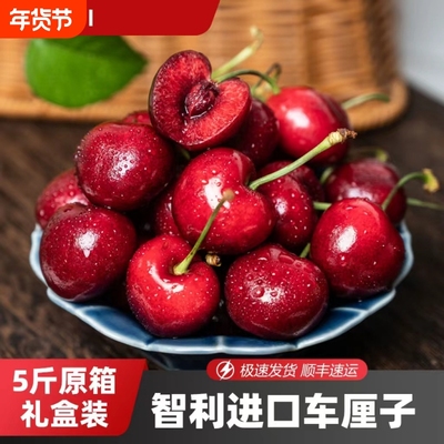 5斤礼盒装智利进口车厘子新鲜脆甜当季水果顺丰京东包邮多汁原箱