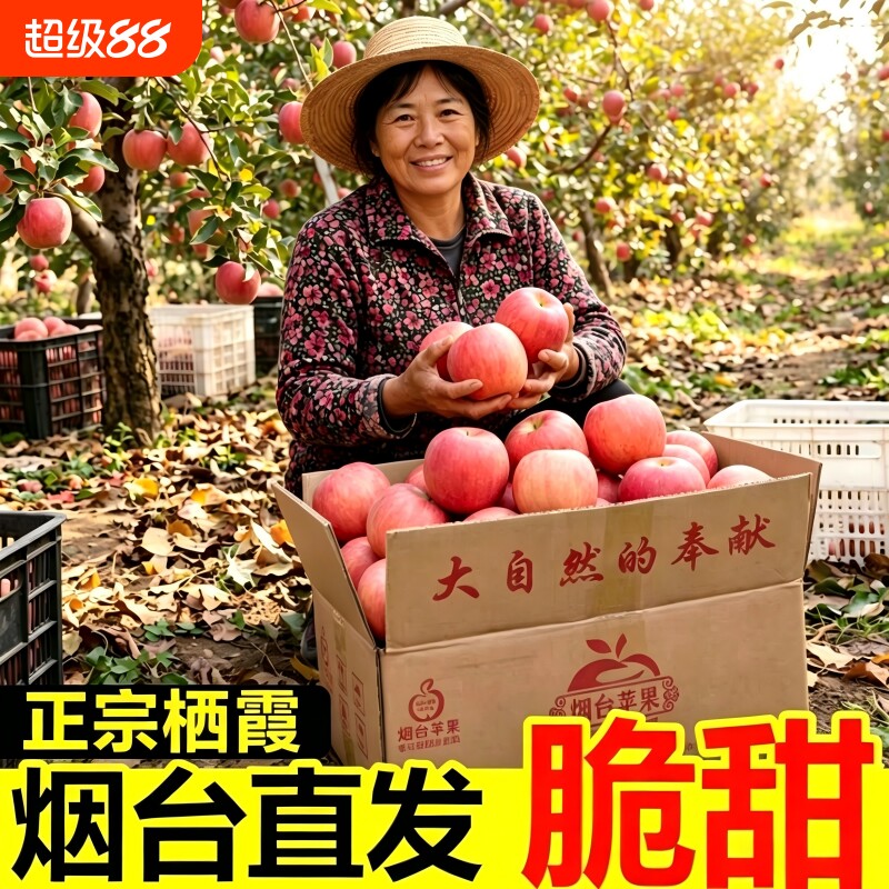 苹果烟台红富士新鲜水果应当季整箱包邮脆甜冰糖心5斤孕妇批发