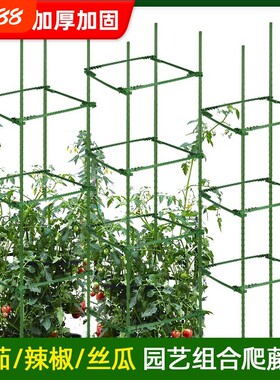 番茄架子爬藤架蔬菜架杆种菜支撑盆栽庭院固定西红柿黄瓜种菜支架