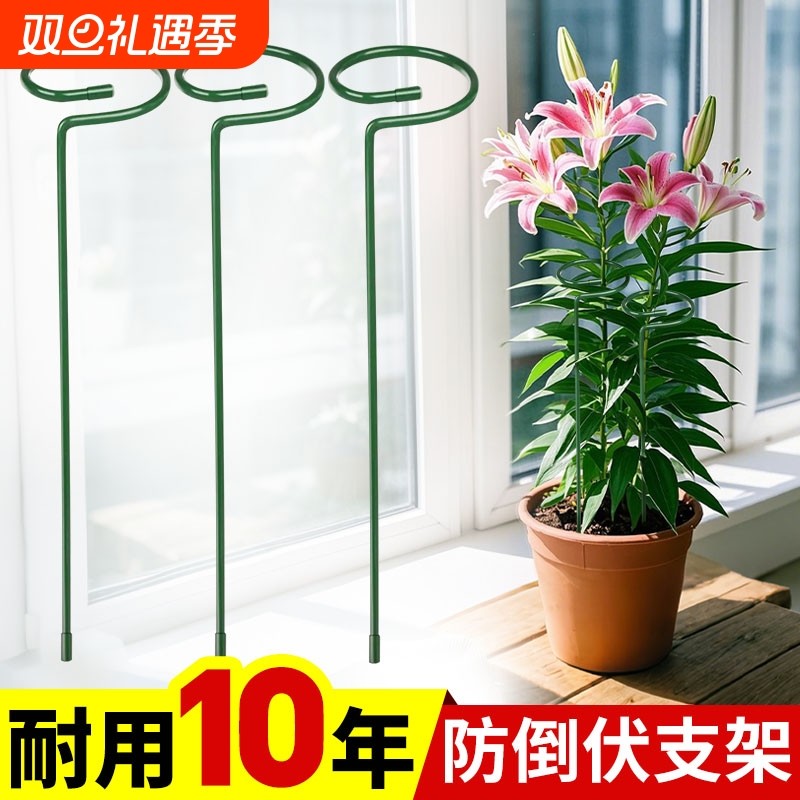 植物防倒伏支架铁艺绣球吊兰支撑杆园艺固定架爬藤花卉朱顶红花架