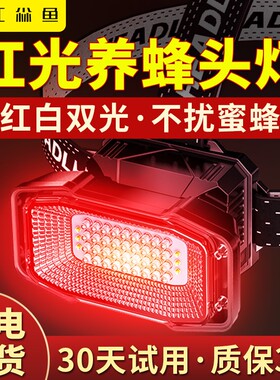 江尛鱼养蜂专用头灯超大泛光
