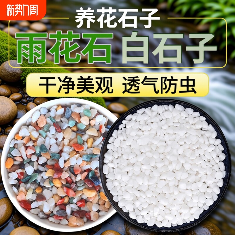 七彩石水培多肉铺面花盆垫底彩色石子白石天然养花园艺白鱼缸底砂