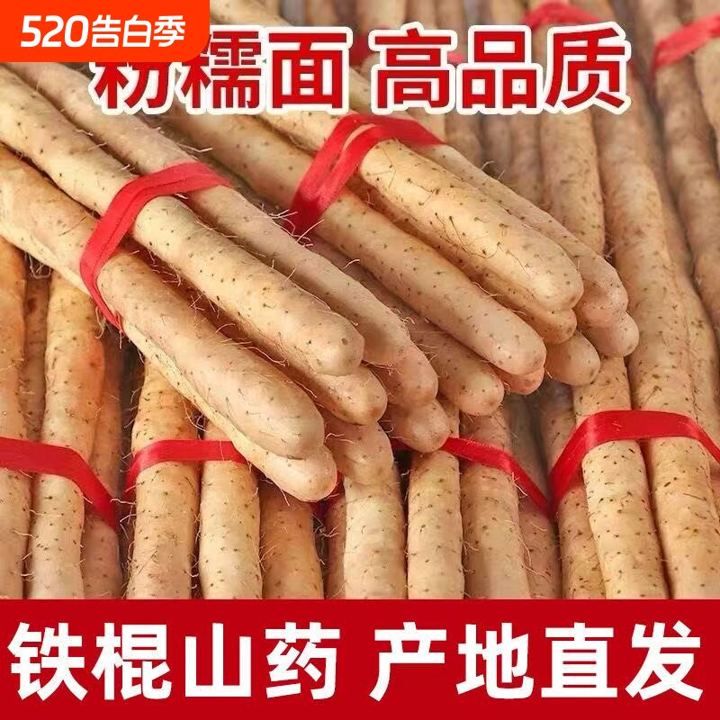 正宗铁棍小白嘴山药新鲜山药河北农家蔬菜产地直发5斤辅食源头