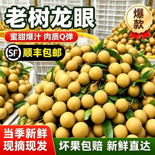 正宗广东老树新鲜龙眼皮薄肉厚甜