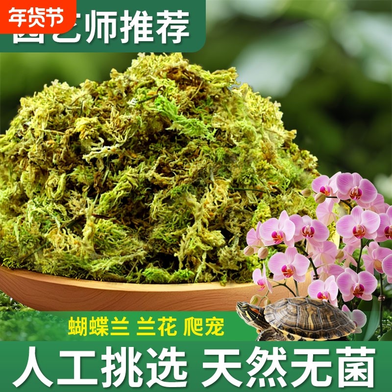 蝴蝶兰专用土水苔营养土种植石斛兰花植料干苔藓青苔干乌龟垫材