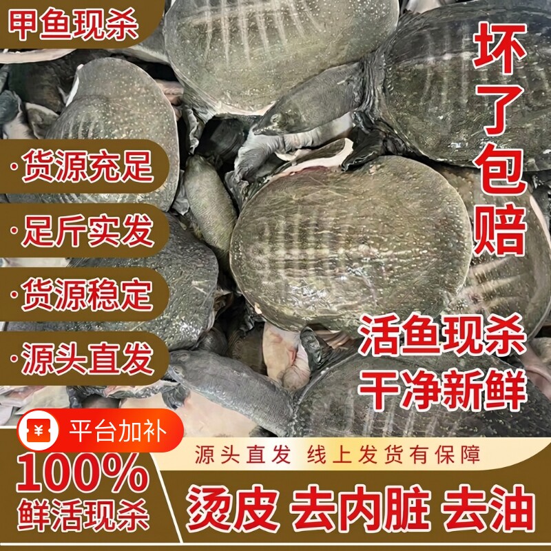 鲜活现杀麻辣甲鱼卤商用半成品食材水鱼团鱼老鳖代杀水产冷冻新鲜