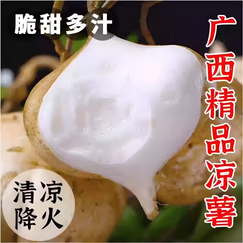 9斤新鲜凉薯自提|超4000次加购