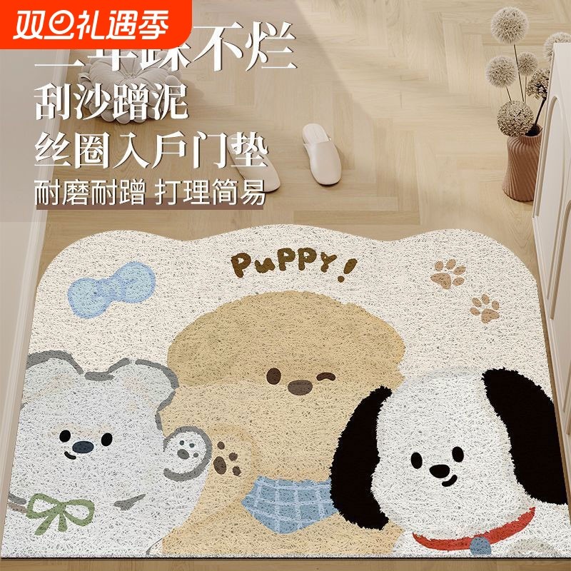入户门丝圈地垫门口脚垫进门