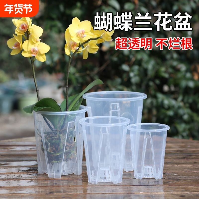 透明青山控根盆兰花水苔蝴蝶兰专用花盆塑料透气镂空大号家用君子,鲜花速递/花卉仿真/绿植园艺,花盆,淘宝优惠券,粉丝福利购,淘宝优惠卷