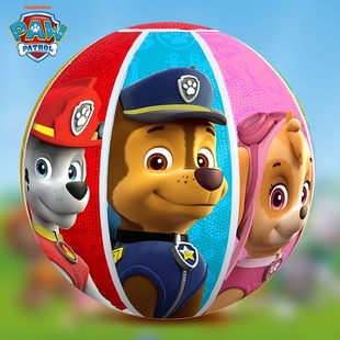 汪汪队篮球儿童5号幼儿园专用小学生3-4号男女孩蓝球皮球室内室外