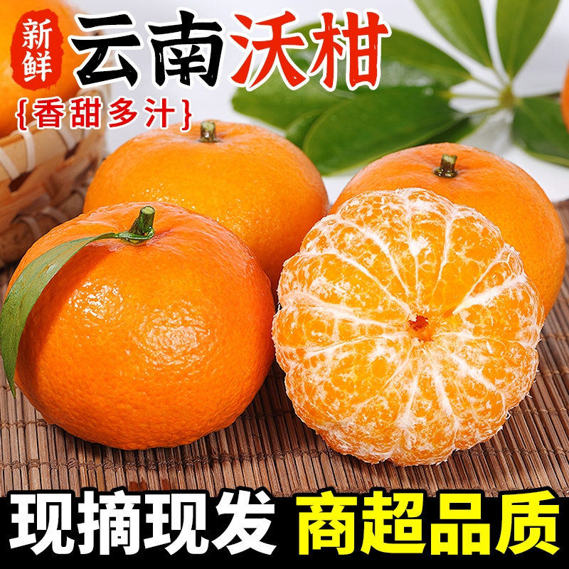 正宗云南沃柑爱媛新鲜橘子应当季孕妇水果整箱柑桔子皇帝砂糖现摘
