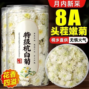 桐乡杭白菊特级正品黄山正宗白菊花去火养生茶泡水菊花茶大朵袋装