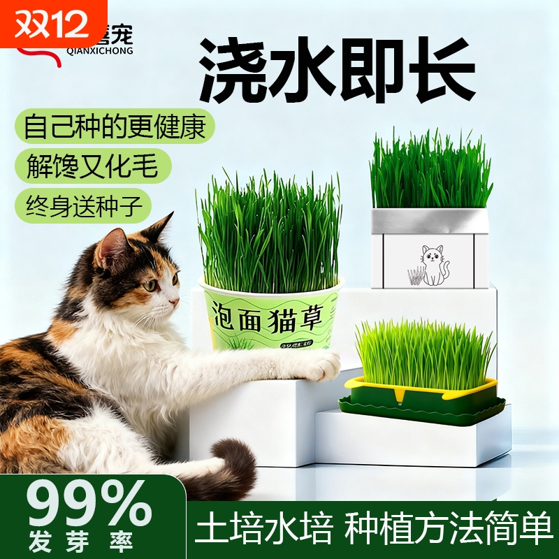 懒人猫草买二赠一终身送种子