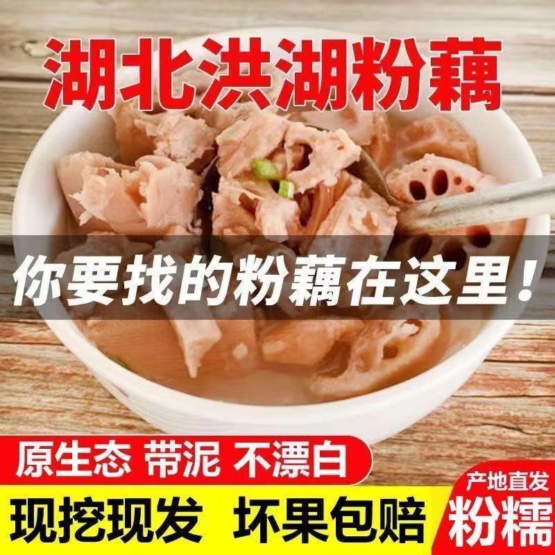 正宗洪湖粉藕莲藕新鲜煲汤藕湖北湖藕面藕红藕糯米藕九孔藕现挖