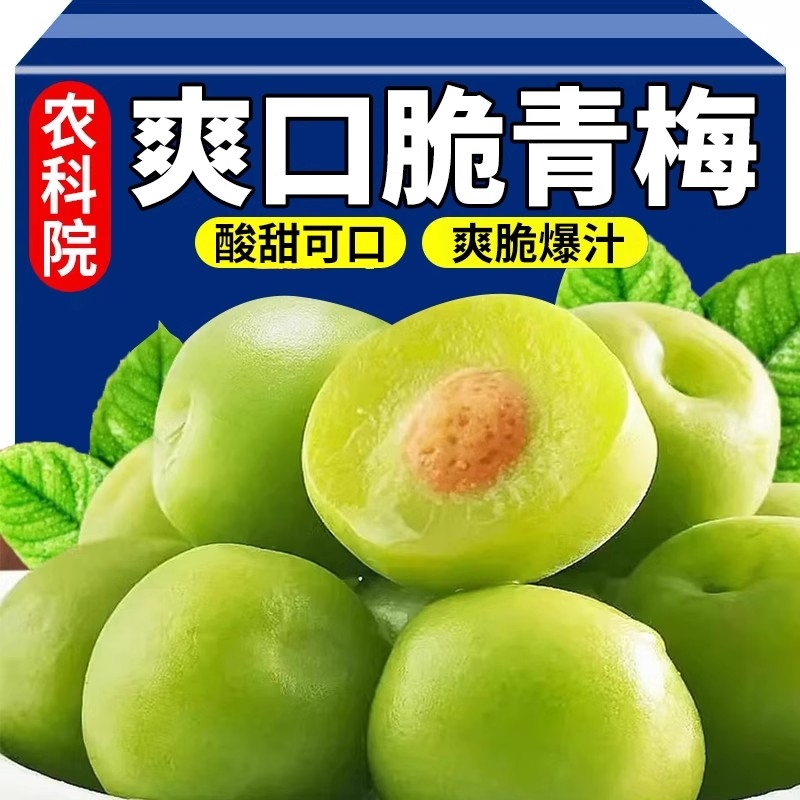 爽口脆梅青梅酸甜脆爽盐渍怀旧果干蜜饯清爽梅独立小包装休闲零食