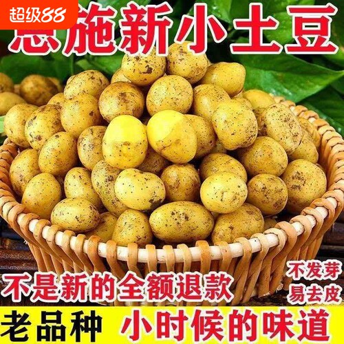 5香小土豆9斤装|回购1.7万次