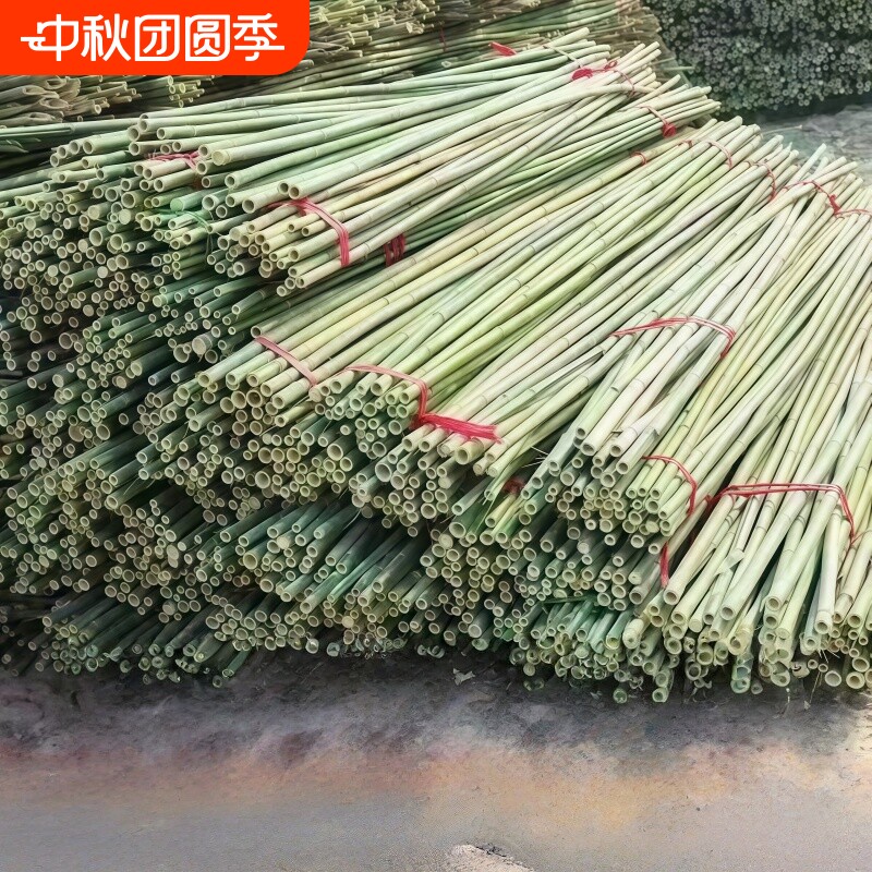 竹竿菜园搭架蔬菜黄瓜豆角架杆竹篱笆栅栏小竹子细竹竿爬藤架围栏图片