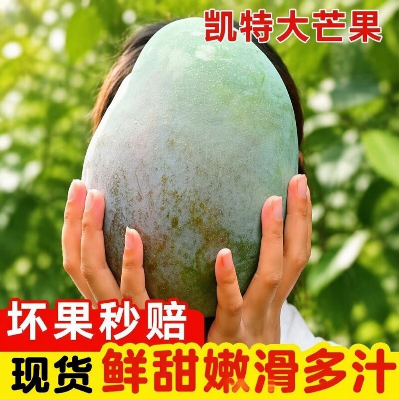 攀枝花凯特芒果9斤高山新鲜水果青芒当季四川甜青皮现摘黄皮果肉