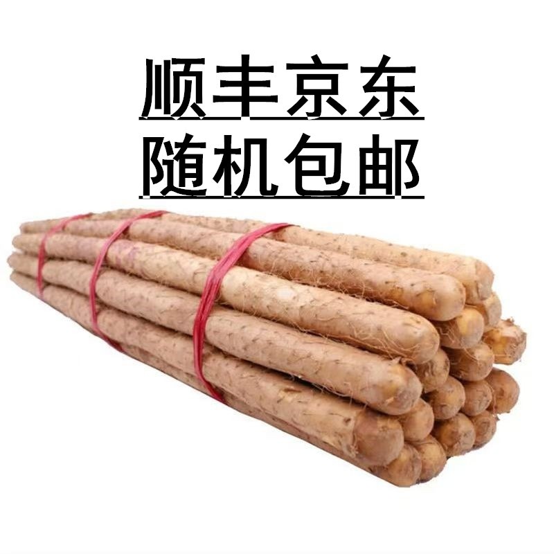正宗铁棍山药新鲜铁杆怀山优质小白嘴山药新鲜蔬菜土特产面糯香甜