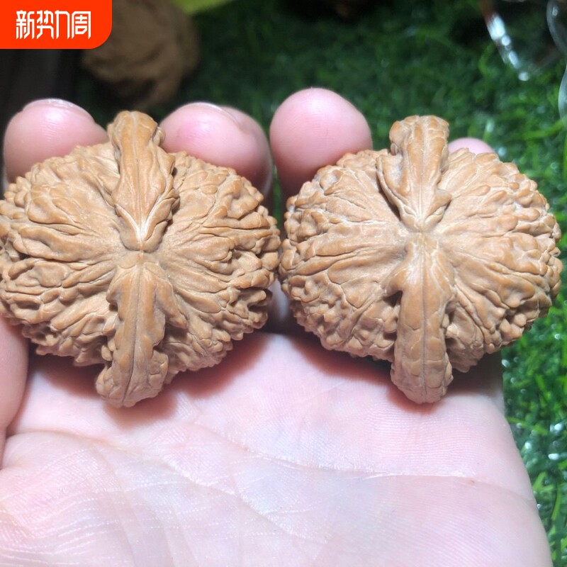 文玩核桃闷尖狮子头把玩手玩苹果园四座楼麻核桃粗筋原色老核桃男