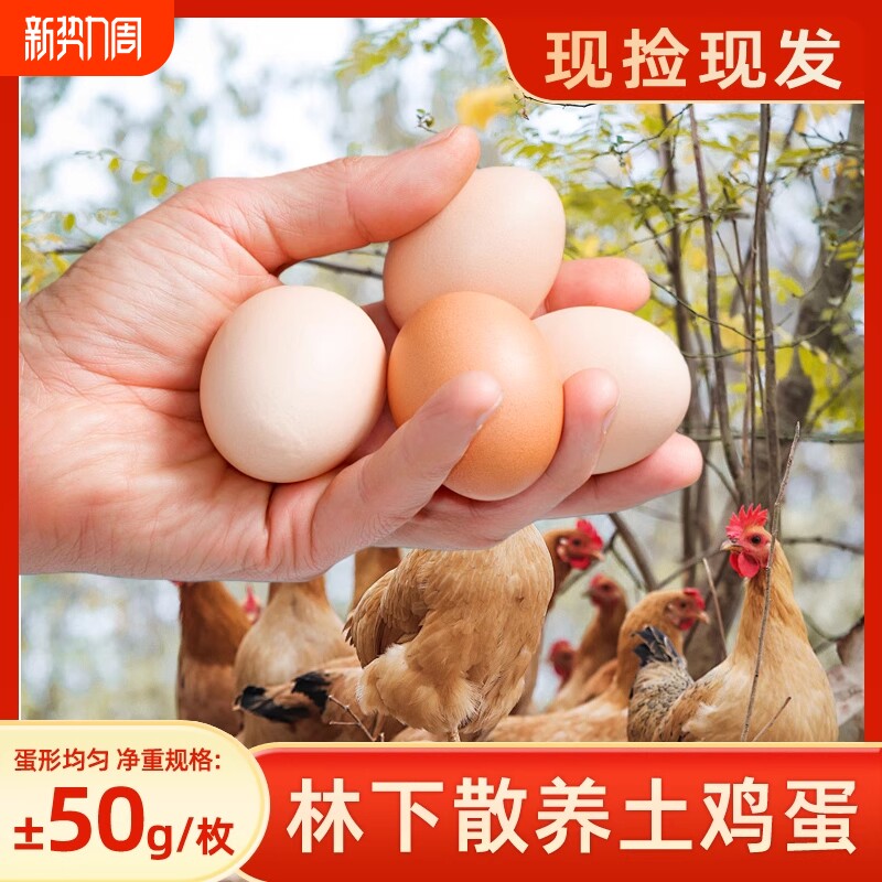 农家散养土鸡蛋正宗湖北大别山林下谷物喂养鲜鸡蛋农场直发鸡蛋