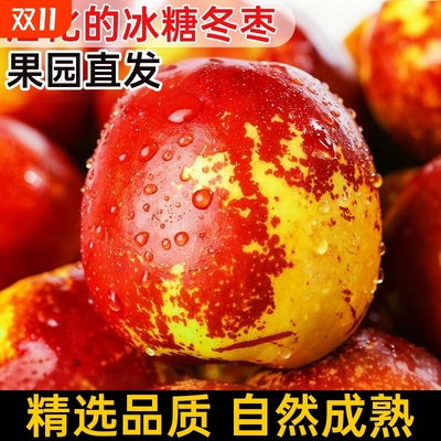 山东新鲜冬枣脆甜大果鲜枣当季水果皮薄特大冰糖现摘非沾化青枣