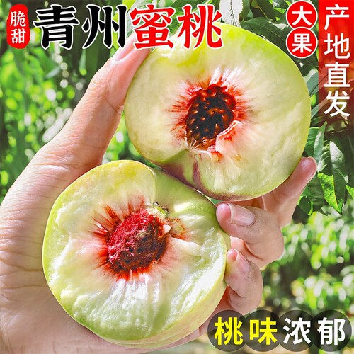 【青州蜜桃山东冬桃产地直发】