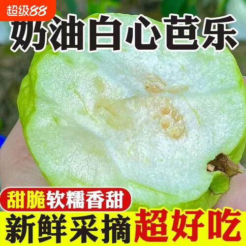 新鲜芭乐水果包邮白心硬番石榴软心当季整箱5斤应季时令鲜果生鲜