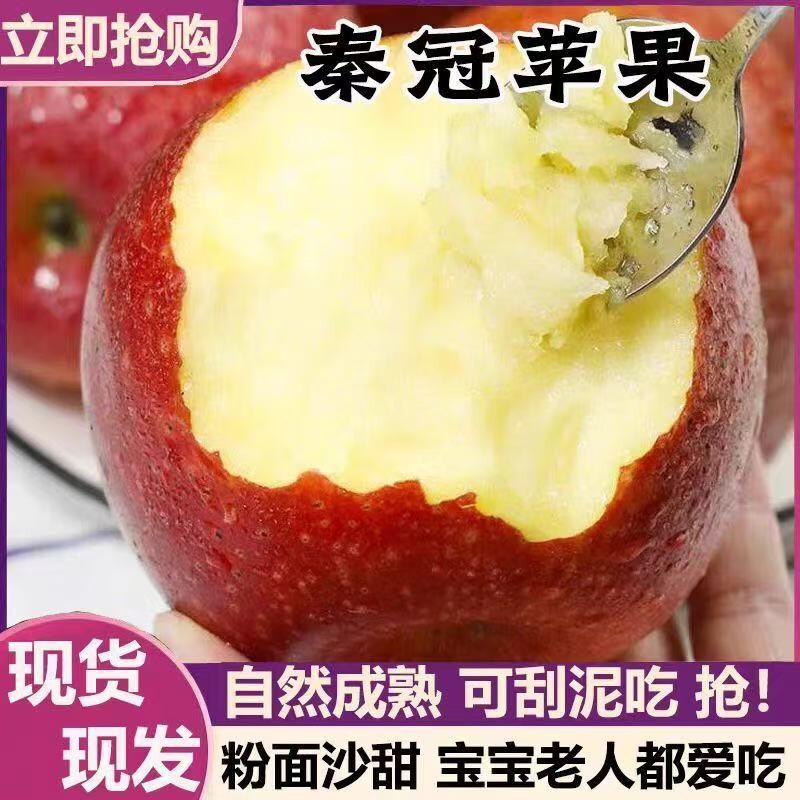 2026头茬秦冠苹果新鲜水果老人孕妇宝宝辅食粉面沙甜刮泥苹果整箱