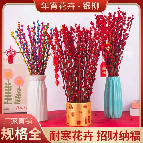 银柳鲜枝真花红色花卉植物干花室内装饰花束乔迁水养招财观赏种植