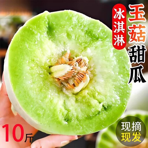 现摘冰淇淋玉菇甜瓜头茬甜瓜9斤正宗玉菇蜜瓜新鲜当季水果小香瓜