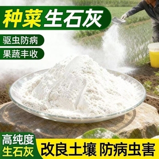种菜专用石灰粉生石灰杀虫消毒干燥剂菜地驱蛇粉土壤除湿杀菌驱虫
