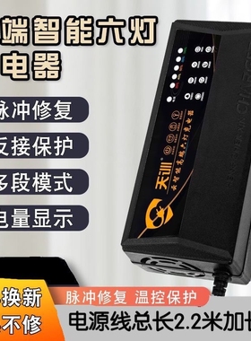 自动断电智能电动车充电器电瓶48V12AH60V20AH72V32A铅酸电池两轮