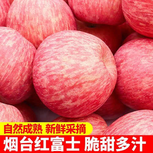 烟台红富士栖霞苹果一级果苹果小新鲜水果整箱应季包邮脆甜