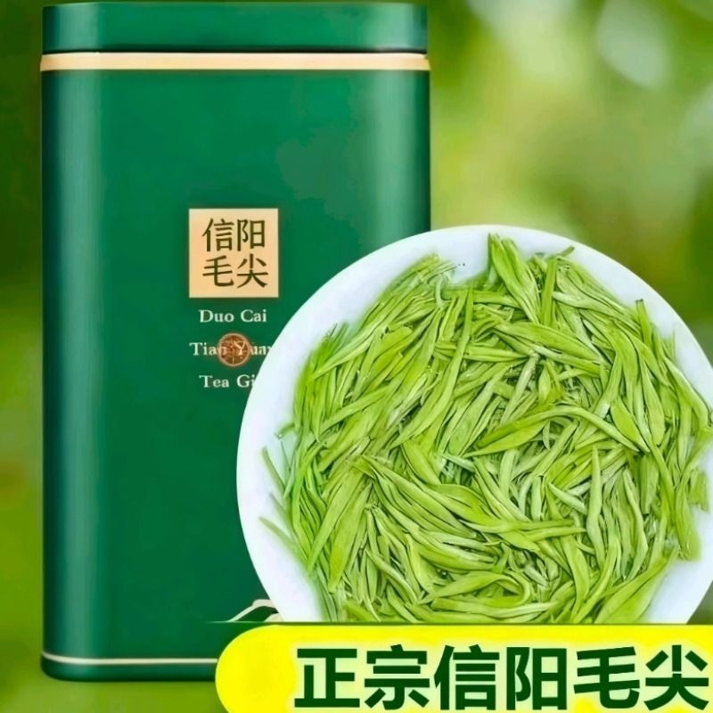 信阳毛尖2025新茶茶叶正宗原产明前特级嫩芽尖绿茶浓香型毛尖罐装