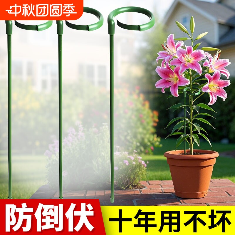 植物支撑杆龟背竹花卉支撑架										