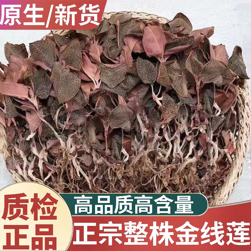 天然福建金线莲新货材500g正宗林下整株红霞茶土楼新鲜功效