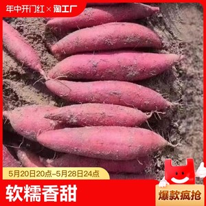 沙地西瓜红蜜薯红薯3/5/10斤新鲜番薯地瓜红心正宗糖心发芽软糯