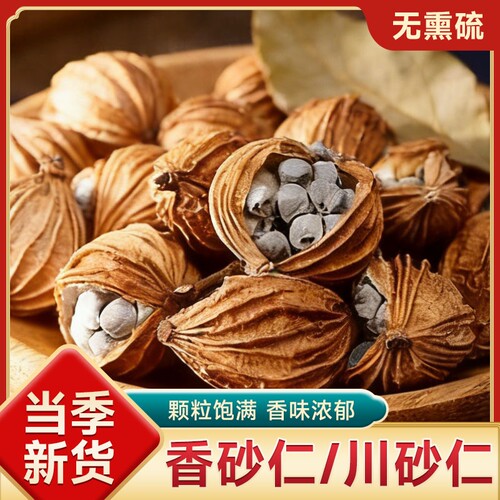 香砂仁川砂仁中药材官方旗舰店干净卤肉炖肉沙仁烧菜卤肉料家用