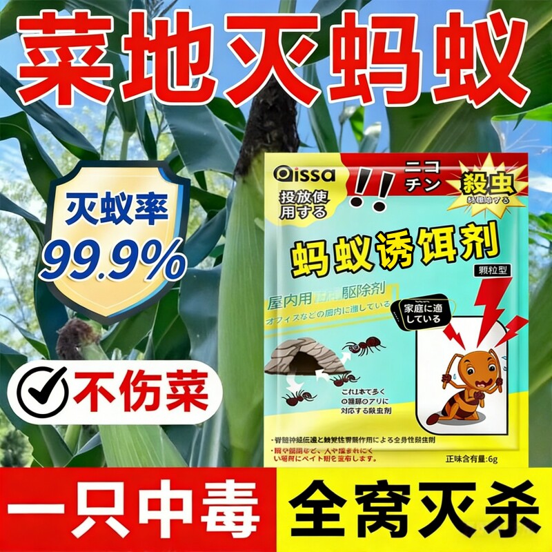 灭蚂蚁药家用全一窝端杀蚁饵剂菜地驱红黄黑蚂蚁粉剂室内超强效