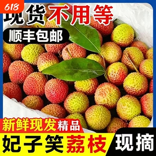 【顺丰冷链】现摘新鲜荔枝妃子笑当季荔枝新鲜水果桂味黑叶白糖罂