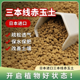 甜沃三本线日本进口赤玉土正品 盆景专用铺面麦饭石 硬质颗粒大包装