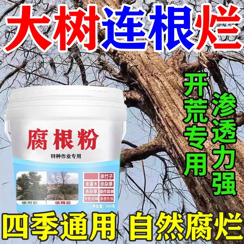 除大树专用腐根粉竹子杂草专用